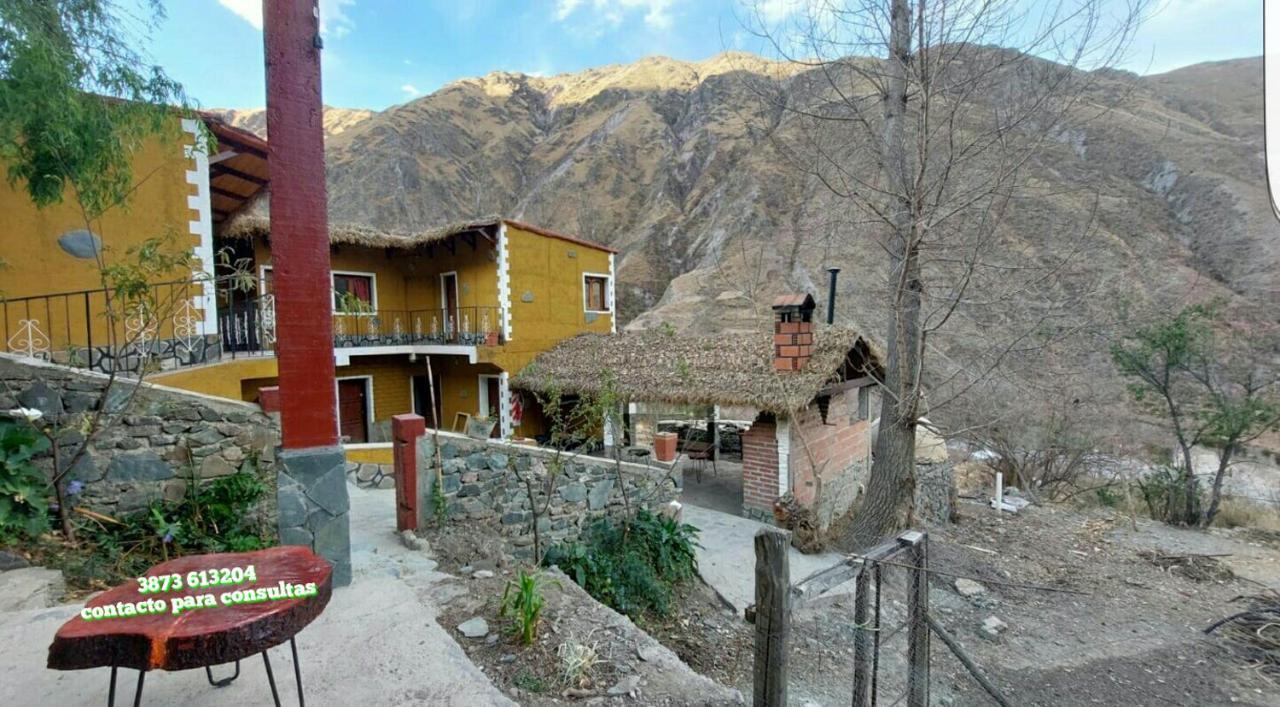 POSADITA LOS ALAMOS, San Isidro 8km pasando Iruya Bagian luar foto